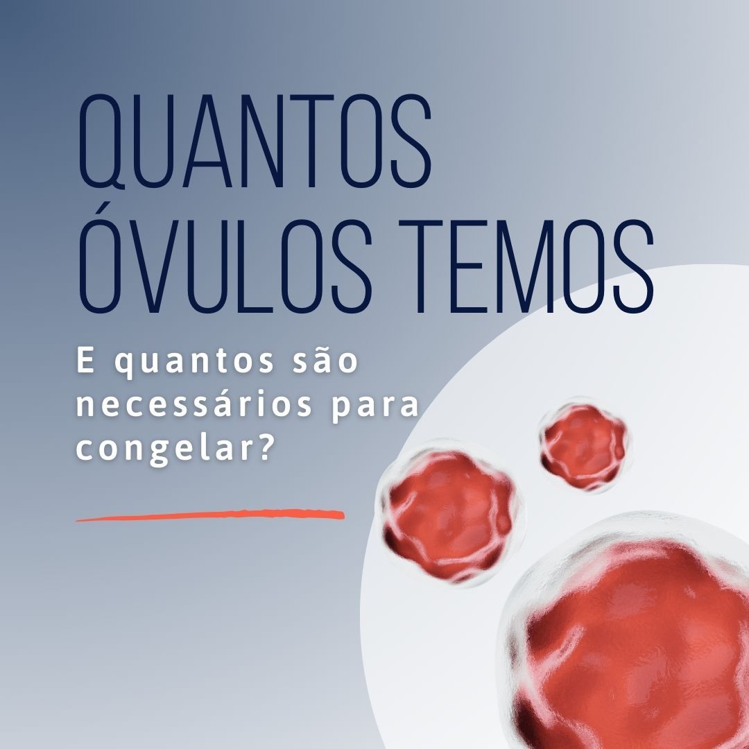 Quantos Óvulos Temos
