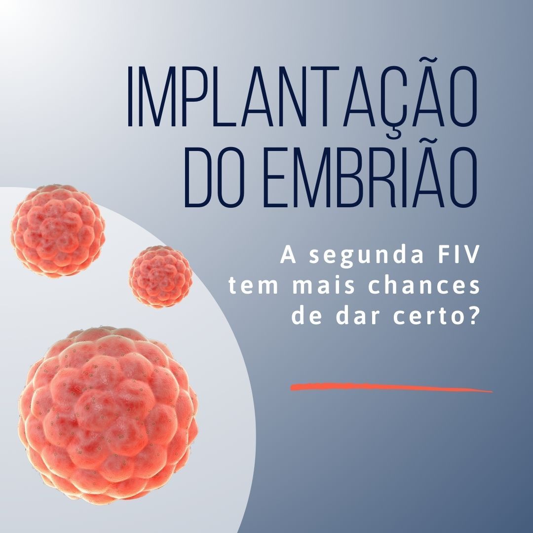 Implantação do Embrião